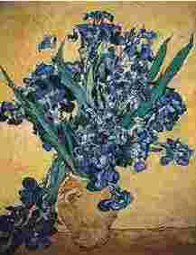 Vincent Van Gogh Still Life with Irises